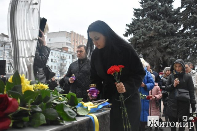 День Гідності та Свободи в Житомирі. ФОТО