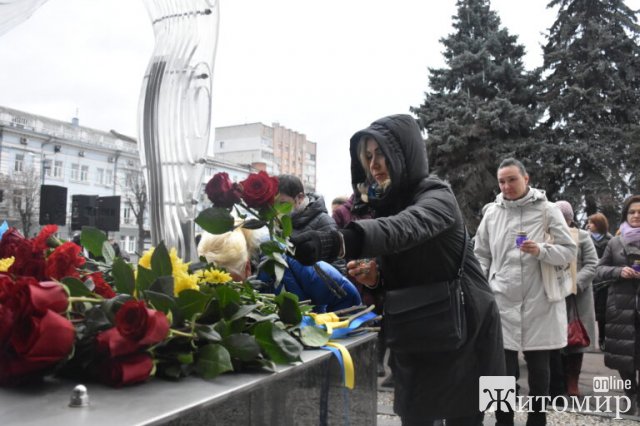 День Гідності та Свободи в Житомирі. ФОТО