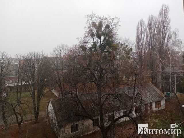 У Житомирі пішов сніг. ФОТО