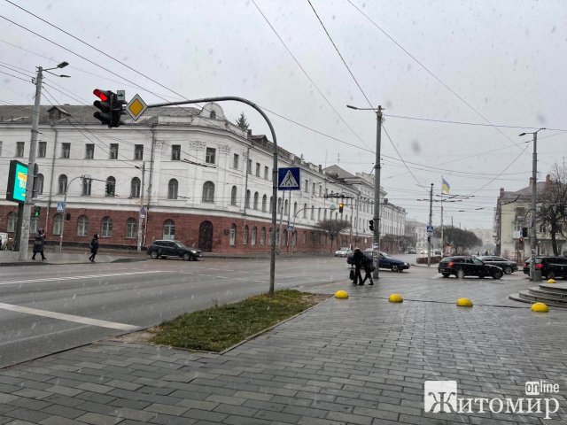 У Житомирі пішов сніг. ФОТО