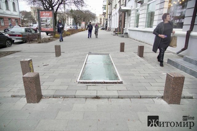 Житомирське "підземелля" заростає бур