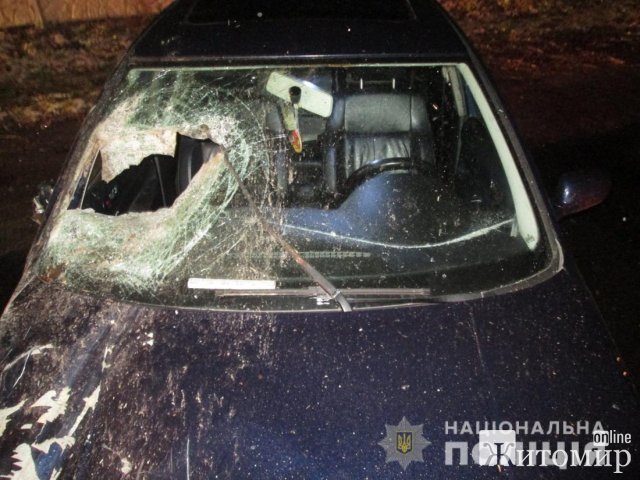 У селі Бердичівського району Volkswagen зіштовхнувся з гужою повозкою, троє потерпілих. ФОТО