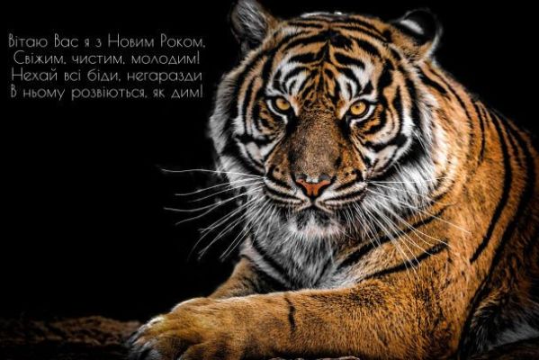 З Новим 2022 роком: вітання, листівки та СМС З Новим 2022 роком: вітання, листівки та СМС