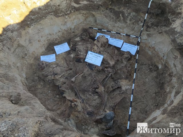 У Новоград-Волинському районі пошуківці виявили санітарне поховання 6 воїнів Червоної армії. ФОТО