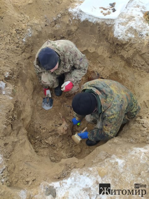В одному з районів Житомирщини пошуківці знайшли рештки 4 солдат та три медальйони. ФОТО