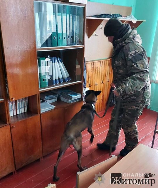 У школі Малина вибухівку не знайшли, - поліція. ФОТО
