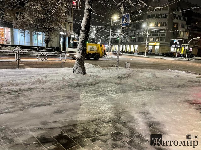 В центрі Житомира тротуари нагадують ковзанку. ФОТО