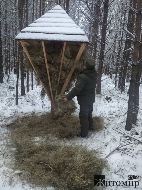 У лісах Житомирщини встановили підгодівельні майданчики та годівниці для диких тварин. ФОТО
