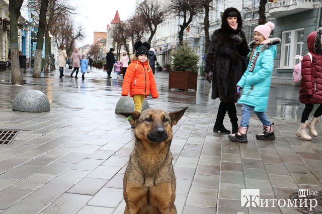 Житомиром їздить святковий потяг з аніматорами. ФОТО
