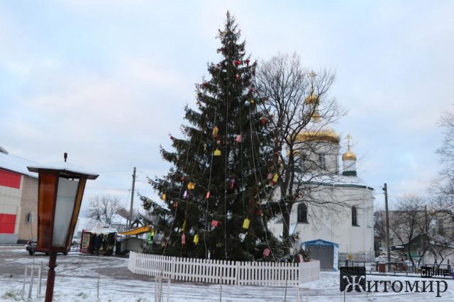 В Олевську біля новорічної ялинки пошкоджений паркан, обірвані гірлянди та зірвані іграшки. ФОТО