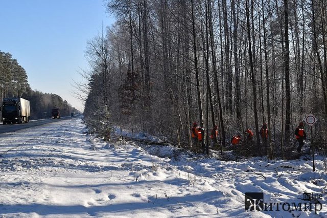 Лісівники прибирають ліси вздовж доріг Житомирщини. ФОТО