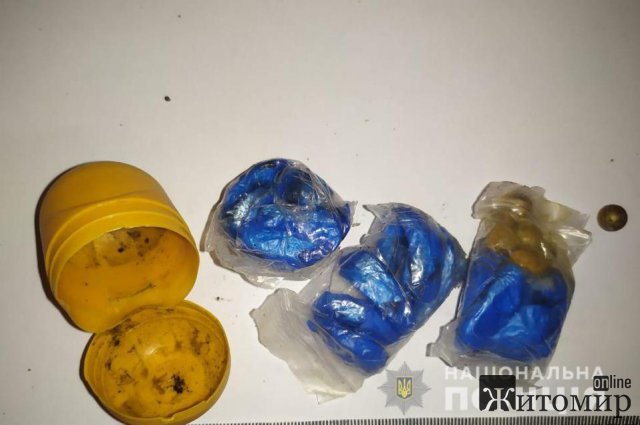 У Коростені затримали чоловіків і дівчину, які намагалися передати засудженим «подарунки». ФОТО