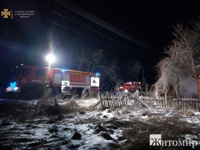 У селі на Житомирщині під час ліквідації пожежі рятувальники виявили тіла жінки та дитини. ФОТО