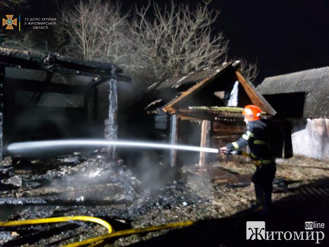 У селі на Житомирщині під час ліквідації пожежі рятувальники виявили тіла жінки та дитини. ФОТО