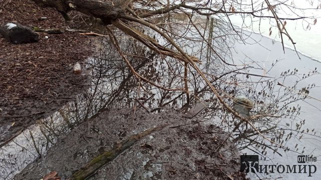 ​У центрі вертебрології прорвало каналізацію, нечистоти потрапили в Тетерів. ФОТО