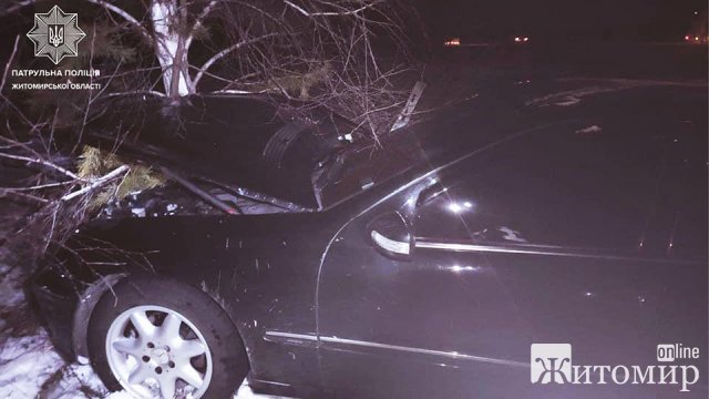 На трасі в Житомирській області Mersedes наїхав на колесо, яке відвалилось у DAF, з