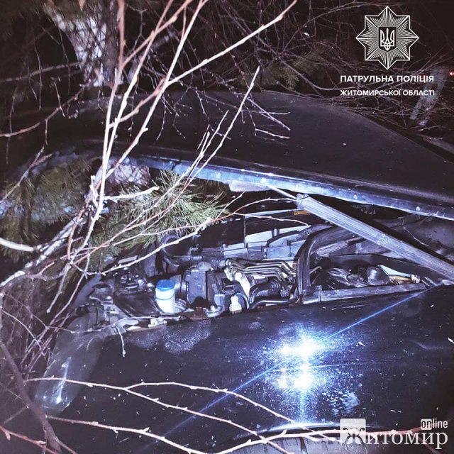 На трасі в Житомирській області Mersedes наїхав на колесо, яке відвалилось у DAF, з