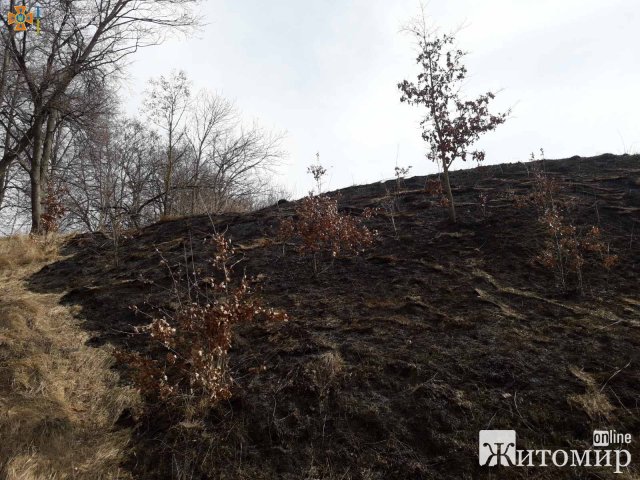 У Новоград-Волинському районі рятувальники ліквідували два загоряння минулорічної сухої рослинності. ФОТО