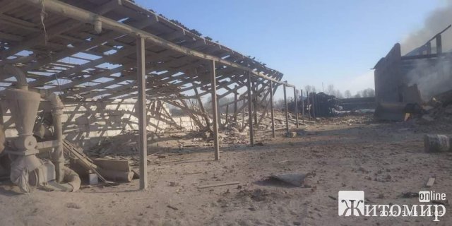 Ворог з авіації обстрілював села в Народицькому районі. ФОТО