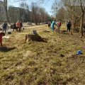 Весняна толока в Житомирі: до прибирання взялися ОСББ. ФОТО