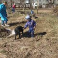 Весняна толока в Житомирі: до прибирання взялися ОСББ. ФОТО