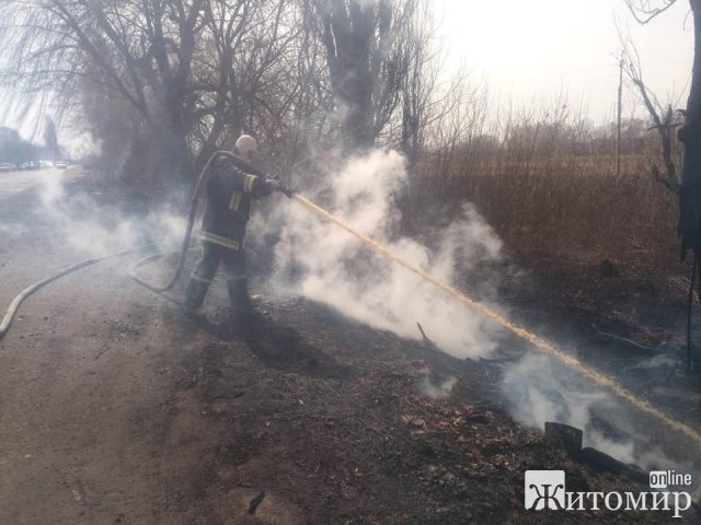 У райцентрі Житомирської області горіла суха трава, місто "заполонив" смог. ФОТО