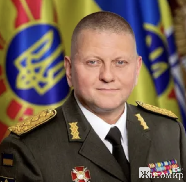 Генерал Залужний: уродженець Житомирщини успішно керує українською армією. Що про нього відомо Генерал Залужний: уродженець Житомирщини успішно керує українською армією. Що про нього відомо