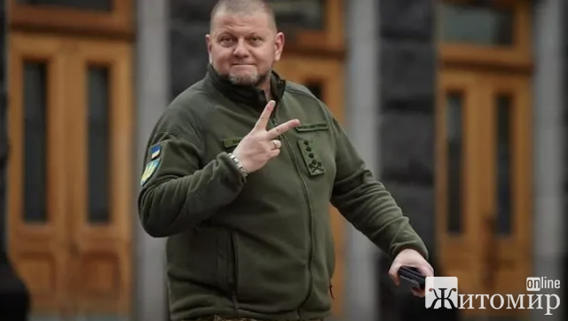 Генерал Залужний: уродженець Житомирщини успішно керує українською армією. Що про нього відомо Генерал Залужний: уродженець Житомирщини успішно керує українською армією. Що про нього відомо