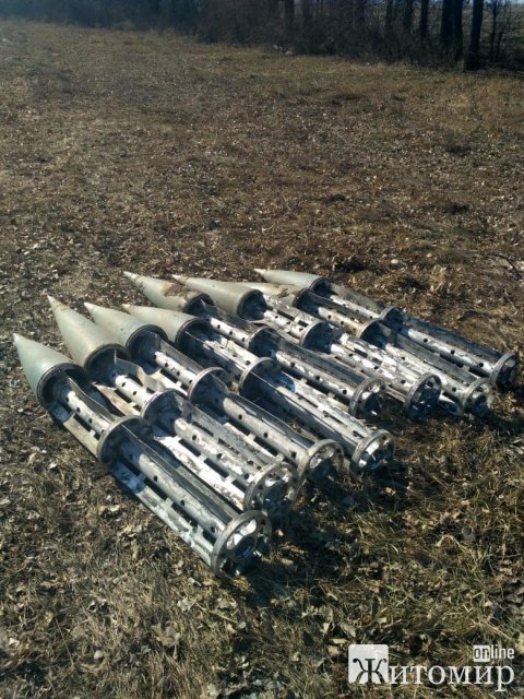 На Житомирщині триває розмінування територій: піротехніки вже знищили понад півтори тисячі боєприпасів. ФОТО