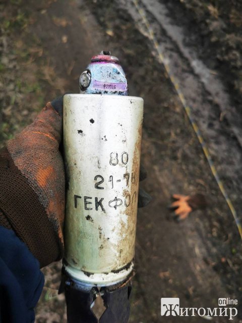 Минулої доби піротехніки Житомирщини виявили та знешкодили близько 30 нерозірваних снарядів. ФОТО