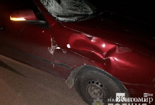 У Житомирі 18-річний водій на Lanos на смерть збив велосипедиста. ФОТО