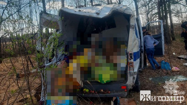 На трасі в Житомирській області бус з’їхав у кювет і тричі перевернувся: травмувалися дві жінки та дитина. ФОТО