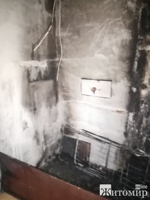 Минулої доби рятувальники Житомирщини виїжджали гасити пожежі в трьох містах області. ФОТО