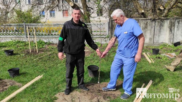 У місті Житомирської області висадили 59 дерев у пам