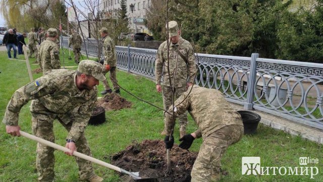 У місті Житомирської області висадили 59 дерев у пам