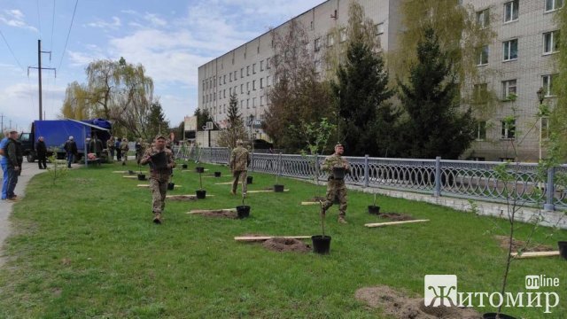 У місті Житомирської області висадили 59 дерев у пам