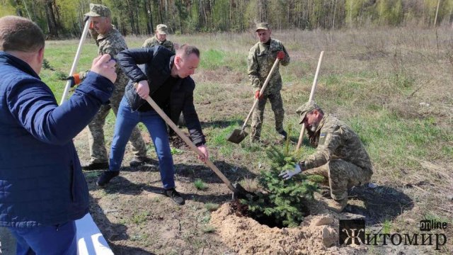 У місті Житомирської області висадили 59 дерев у пам