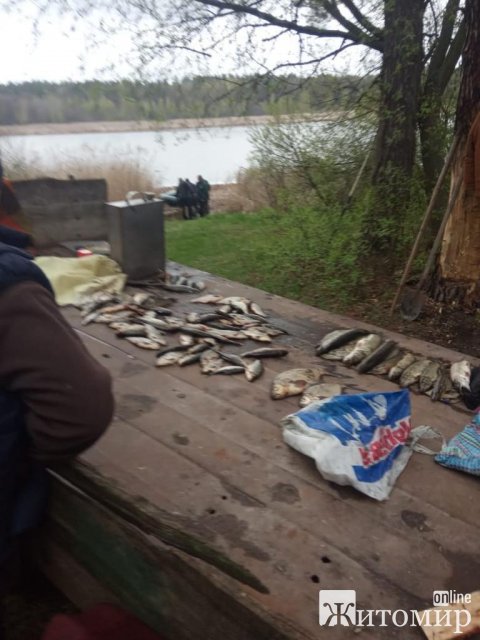 За тиждень житомирські екологи провели 9 рейдів: виявили незаконний вилов риби на 171 тис. грн. ФОТО