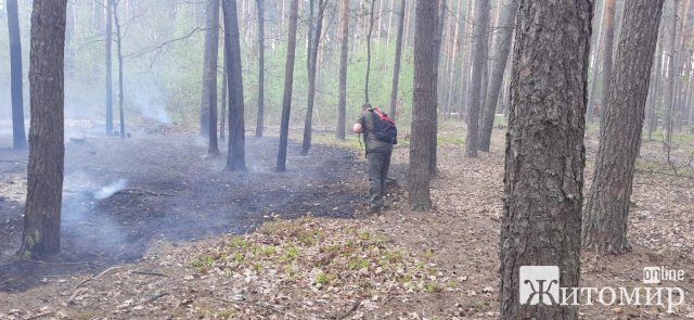 У Житомирському районі більше сотні людей гасили пожежу. ФОТО