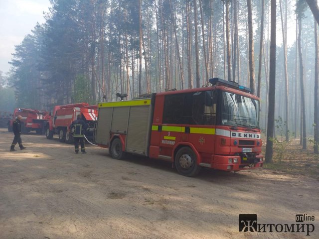 У Житомирському районі більше сотні людей гасили пожежу. ФОТО