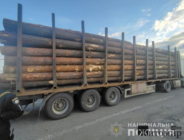 У селі біля Житомира поліцейські зупинили вантажівку деревиною без документів. ФОТО