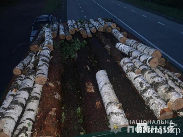 На автодорозі в Житомирській області поліцейські зупинили вантажівку: під березняком водій приховав соснові колоди. ФОТО