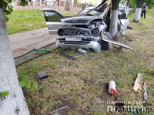 У Коростені зіштовхнувся з мопедом та врізався в дерево: водій автомобіля загинув, пасажирка травмована. ФОТО