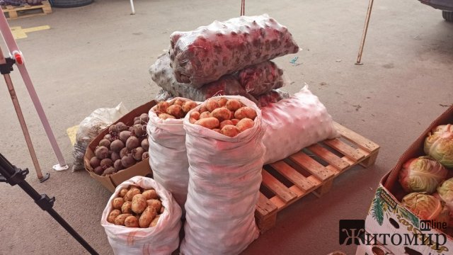 На ринку "Східному" в Житомирі вміст нітратів у молодій картоплі відповідає нормам. ФОТО