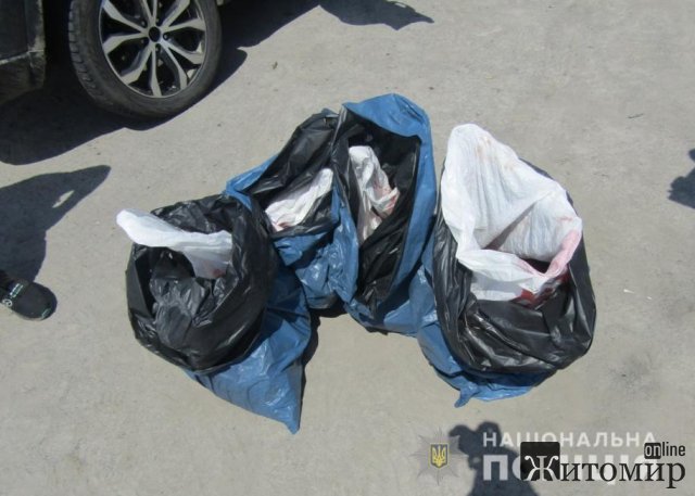 На блокпосту на Звягельщині правоохоронці зупинили джип мисливців-порушників: перевозили мішки з м’ясом та зброю. ФОТО