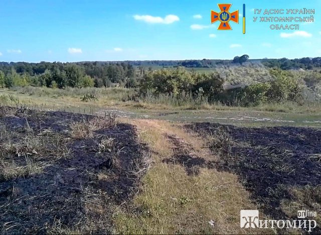 Минулої доби на Житомирщині горів торф та суха трава біля залізниці. ФОТО