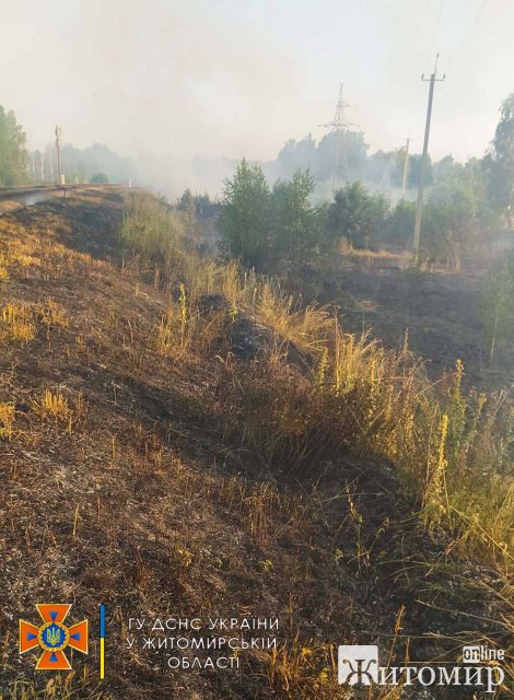 Минулої доби на Житомирщині горів торф та суха трава біля залізниці. ФОТО