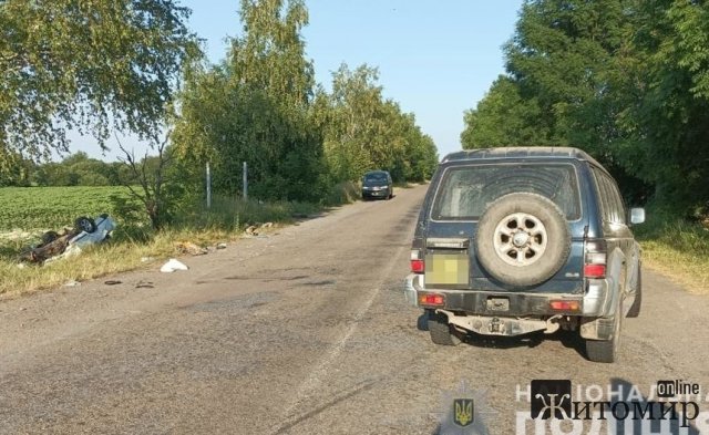 На дорозі в Житомирській області ВАЗ зіткнувся з Mitsubishi, з’їхав у кювет та перекинувся. ФОТО