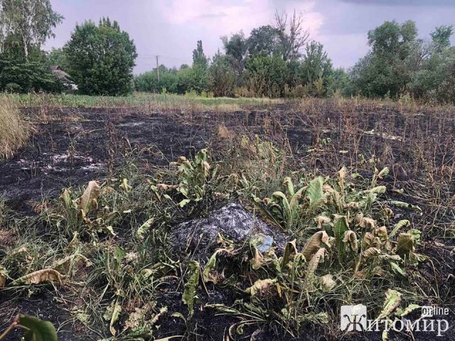 Через розряд блискавки у селі Житомирського району загорілась дерев