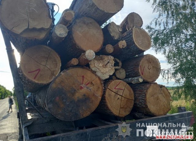 На Житомирщині поліцейські зупинили ЗІЛ з деревиною без належних документів. ФОТО